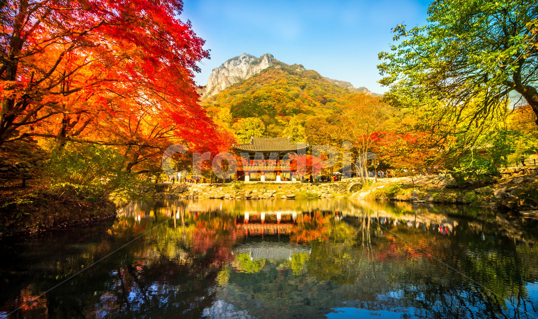 장성,백양사,쌍계루,단풍,가을,내장산,maple,가을,계절,fall,autumn,season,자연,풍경,nature,landscape,한국자연풍경,한국자연경관,korea nature landscape,water,물,tree,나무,plant,식물