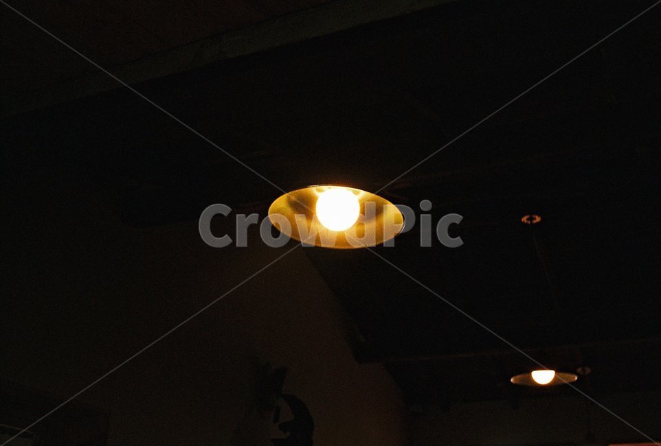 실내,내부,조명,light,인테리어,interior,indoor,필름,필름사진,film,flower,lighting,전구