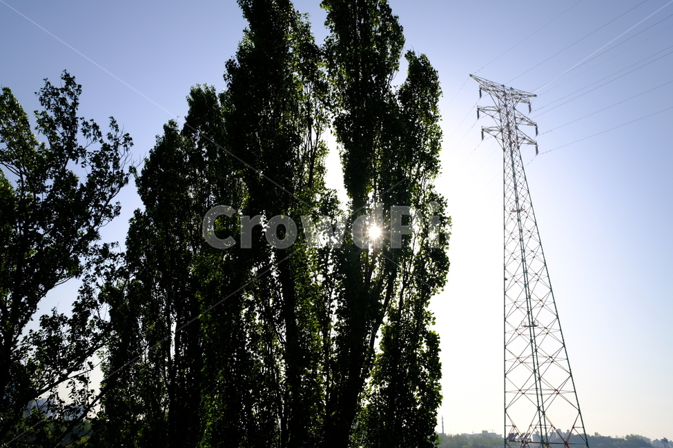 나무,초록,풍경,송전탑,하늘,sky,landscape,transmissiontower,tree,무보정,식물,자연,plants,nature,나무,trees,wood,에너지산업,energy industry,power lines,전력선,cable,케이블,electric transmission tower
