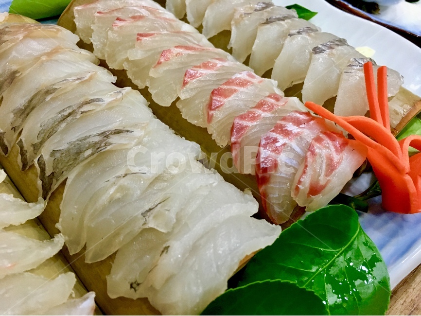 회,모둠회,바다회,회사진,광어,우럭,도미,음식,식재료,요리,food,cook,meal,dishes,food reserves,수산물,해산물,fishery products,seafood