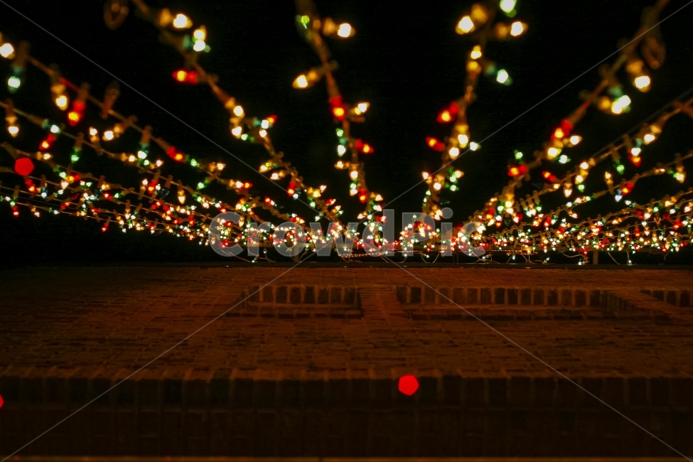 겨울,12월,트리,크리스마스,장식,Christmas,ChristmasTree,전구,메리크리스마스,성탄절,merry christmas