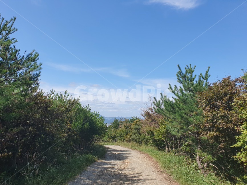 흙길,하늘,풍경,가을,road