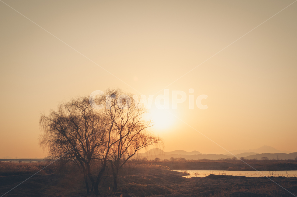 nature,outdoors,옥외,일몰,풍경,자연,아침,새벽,자연,풍경,nature,landscape