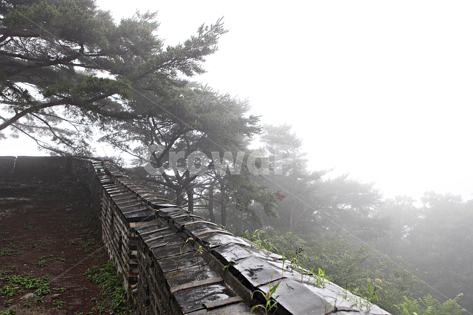 남한산성,성,성곽,길,둘레길,숲,숲길,안개,돌,돌담