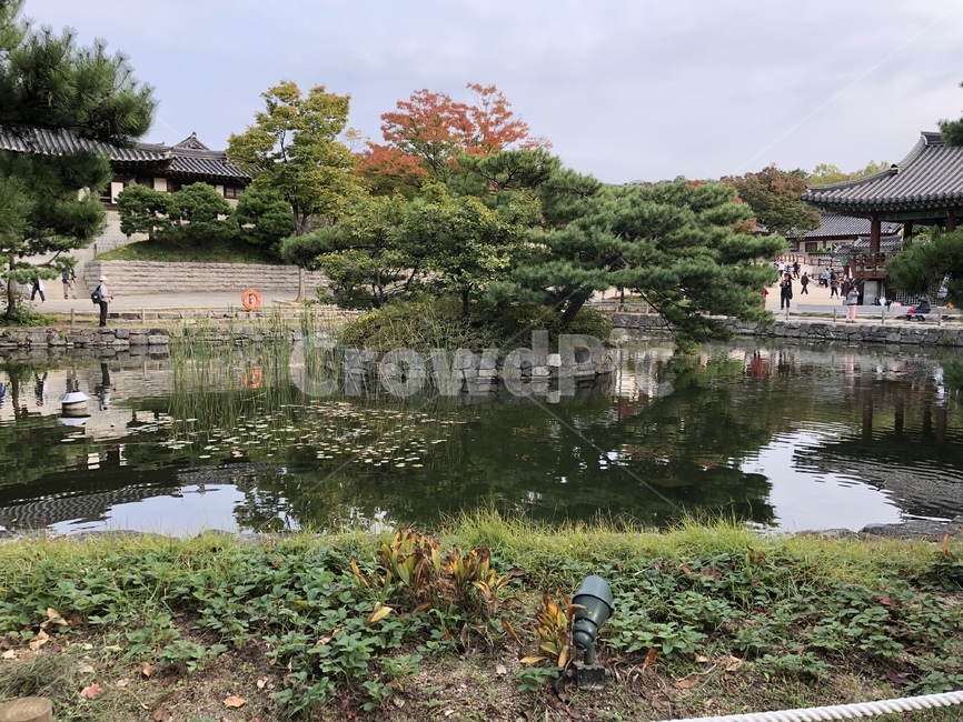 한옥마을,옛날풍경,한옥,호수,남산골한옥마을,조화로운자연,자연,풍경,nature,landscape,한국자연풍경,한국자연경관,korea nature landscape,outdoors,옥외,water,물,building,건물,architecture,건축물