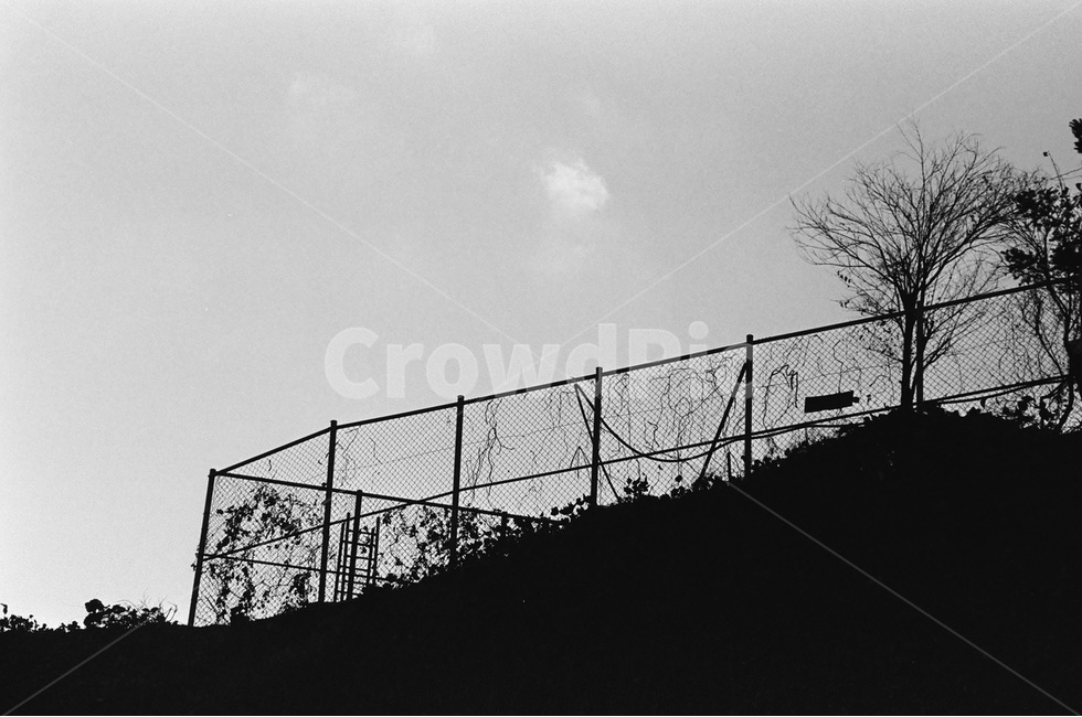 난간,흑백,담쟁이덩굴,vine,black,guardrail,절벽,cliff,흑백,모노톤,monochrome,black and white