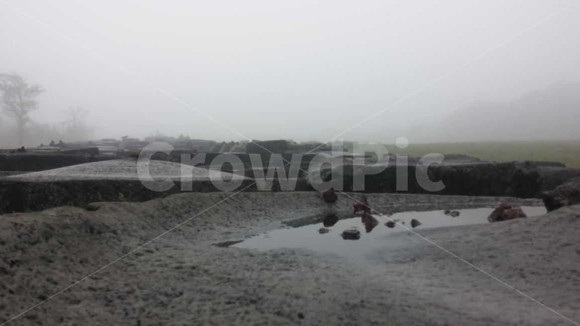 제주,여행,안개,감성,제주돌박물관,비,자연,풍경,nature,landscape,제주도,jeju,jeju island,puddle,흐리게 하다