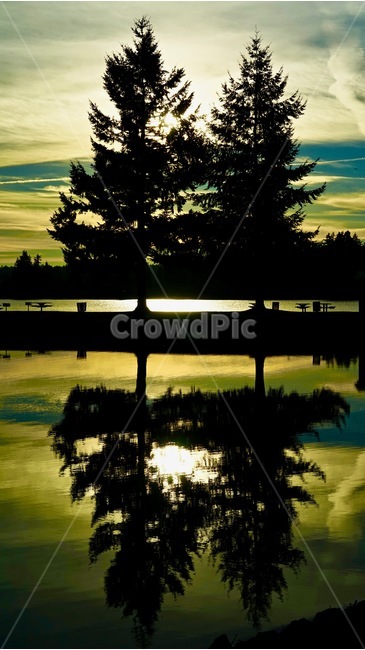 호수,나무,반영,tree,reflection,sunset,lake,nature,자연,풍경,nature,landscape,outdoors,옥외