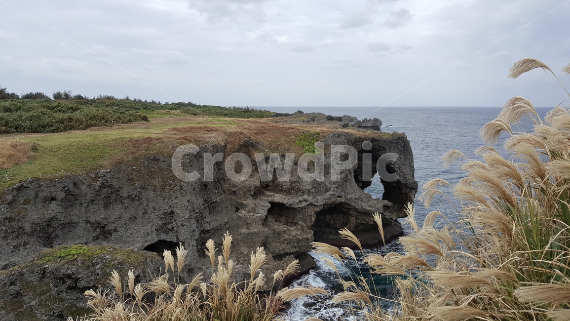 일본,오키나와,만좌모,코끼리,갈대,자연,풍경,nature,landscape,outdoors,옥외,shoreline,해안선,water,물,ocean,대양,sea,바다