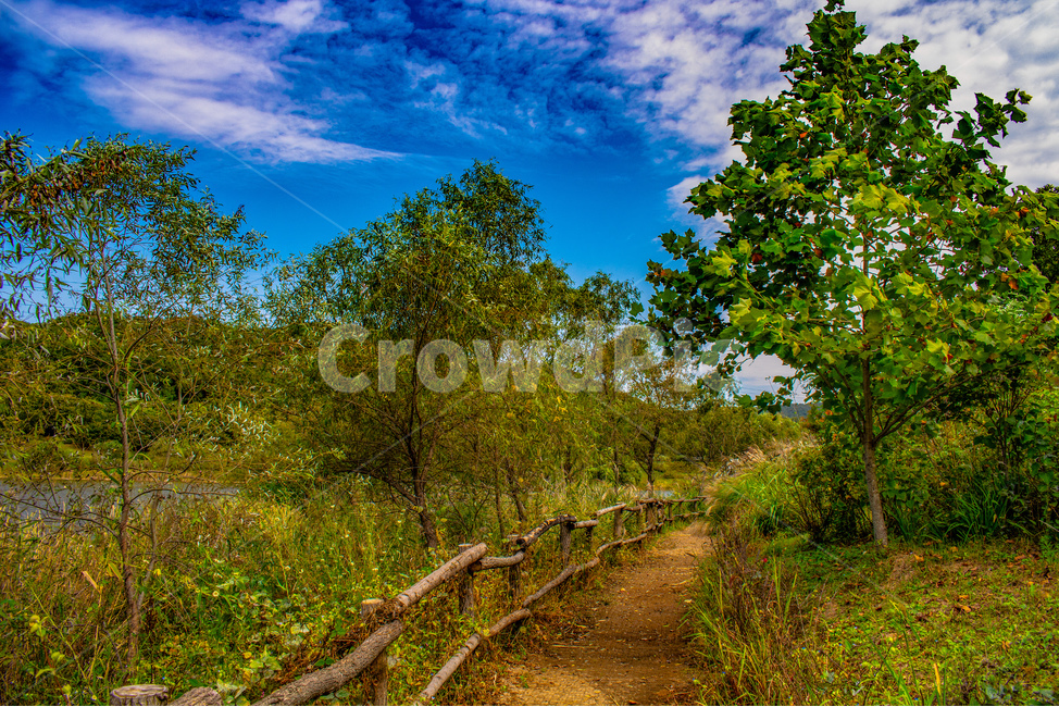 오솔길,시골길,들판,가을,가로수,자연,풍경,nature,landscape,gravel,자갈,road,도로,dirt road,흙길