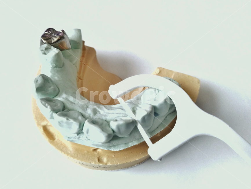 치과,치아모형,석고,치실,구강위생,치과진료,치과의원,dental,dentist,floss,oral,hygiene,clinic