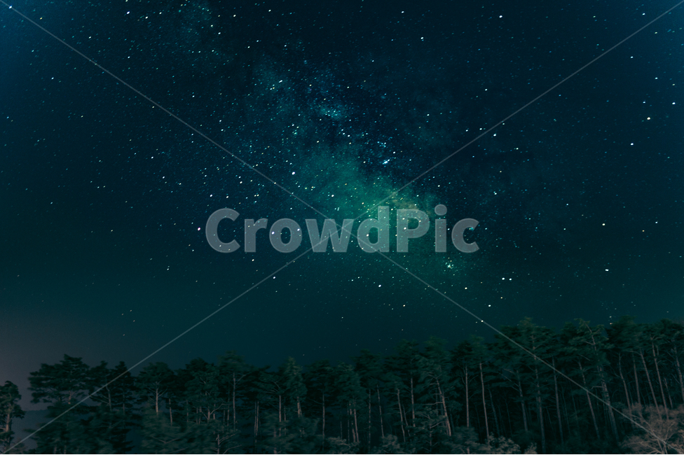 은하수,숲,하늘,별,나무,cyan,청록,파랑,푸르스름,stars,자연,풍경,nature,landscape,야경,밤,nightscape,night,색깔,색상,색채,색감,color sense,color sensitivity,feeling of color,outdoors,옥외,outer space,대기권 밖,astronomy,천문학,universe,우주,starry sky,별이 빛나는 하늘,space