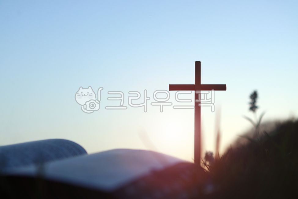 십자가,성경책,종교,예수그리스도,교회,믿음,신앙,은혜,상징,빛,태양,광선,기도,하늘,햇빛,실루엣,부활,영적인,성경,성령,부활절,묵상,기독교,카톨릭,거룩한,자연,풍경,숲,풀,나무,전도,무덤,죽음,고난,예수님,복음,목초지,감사절,감성,노을,일출,저녁,새벽,배경,주님,그리스도