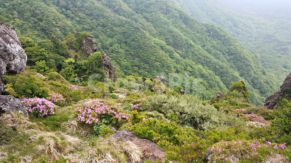 산,nature,자연,outdoors,옥외
