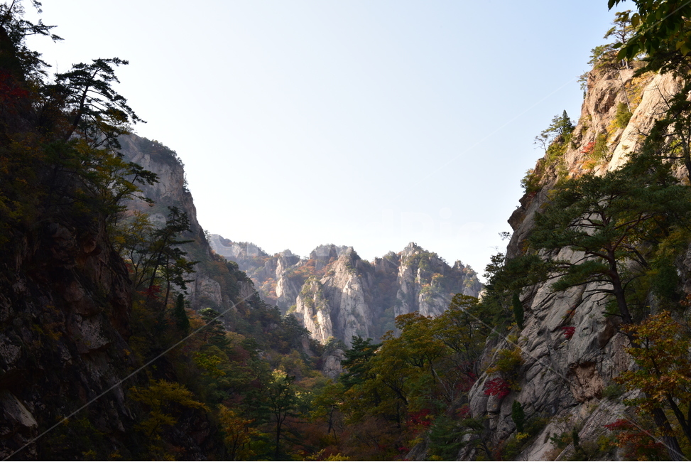 nature,자연,mountain,산,가을단풍,단풍,가을,계절,fall,autumn,season,자연,풍경,nature,landscape,outdoors,옥외,cliff,낭떠러지