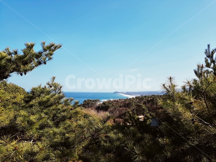 바다,산,나무,하늘,소나무,자연,풍경,nature,landscape,tree,plant,식물,vegetation,초목,bush,부시