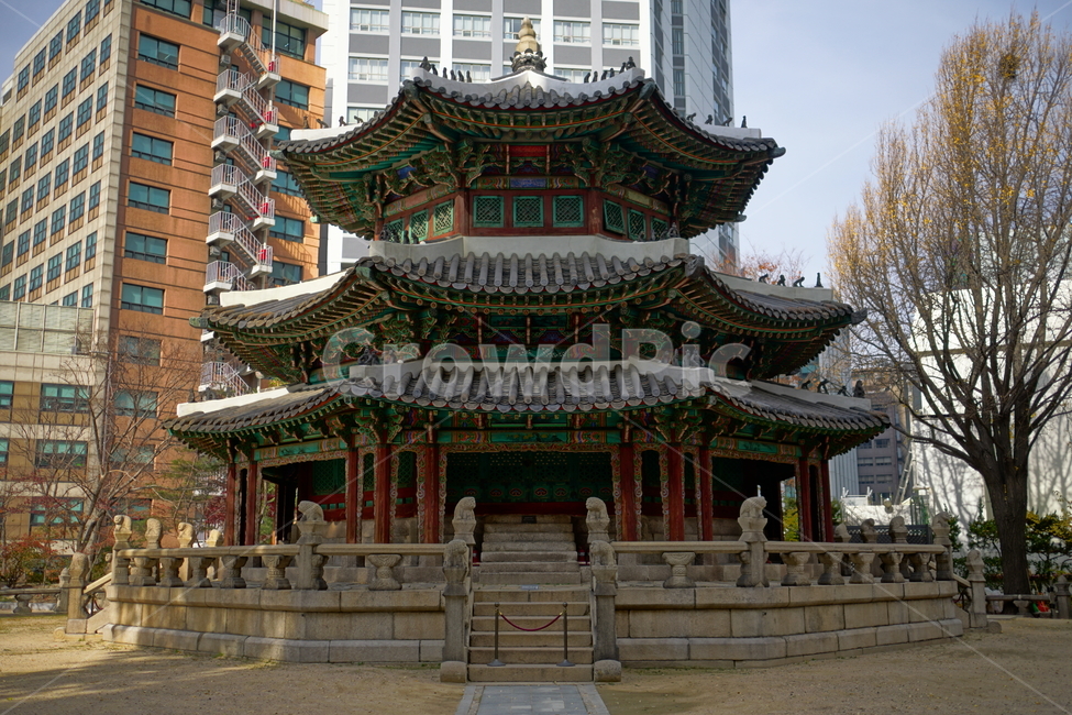 환구단,환단,원구단,문화재,전통,대한제국,조선,문화,전통문화,한국,korea,서울,seoul,한옥,건물,빌딩,building,건축물,건축,culturalassets,culturaltreasure,황궁우,천단,신단,제단,해태,가을,단풍,나무,tree,fall,autumn,역사,히스토리,history,한국전통,한국문화,korean traditional,korean culture,랜드마크,landmark,tourist attraction,한국랜드마크,한국관광지,한국명소,korea landmark,korea tourist attraction,건축물,건물외관,exterior,building,structure,architecture,construction