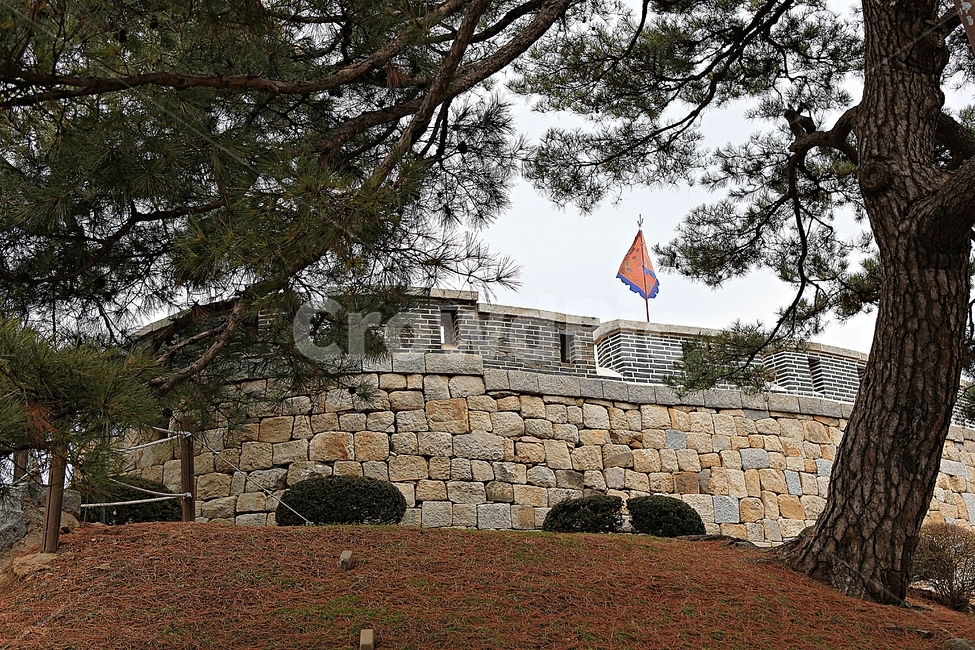 진,성곽,성,돌담,담,겨울,자연,풍경
