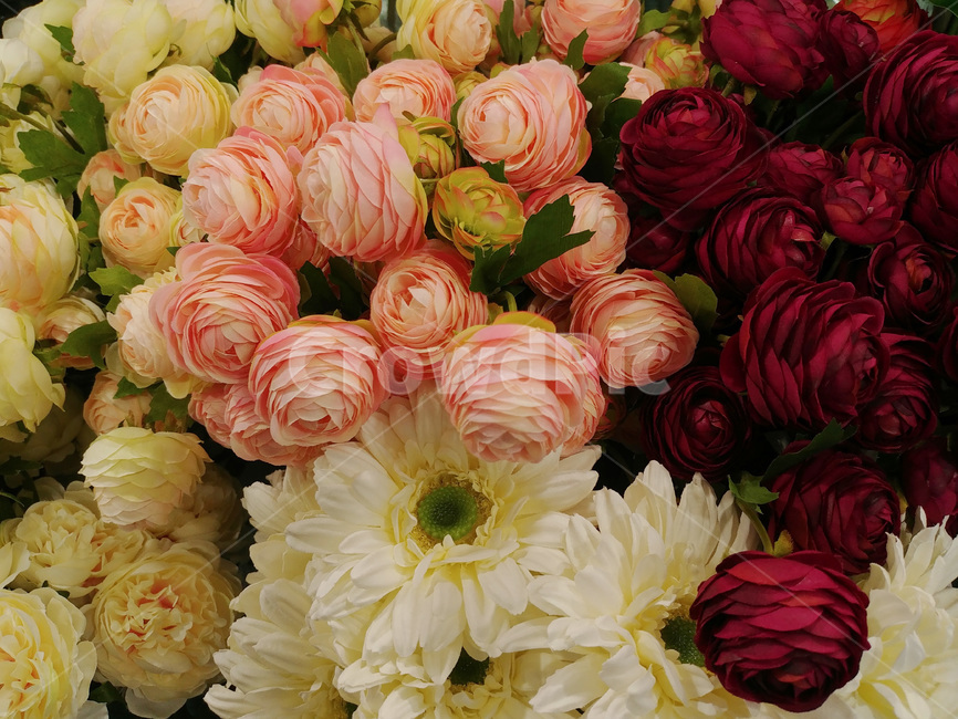 꽃,꽃다발,디스플레이,플라워,백그라운드,장식,데코레이션,꽃잎,flowers,칼라,color,식물,축하,조화,배경화면