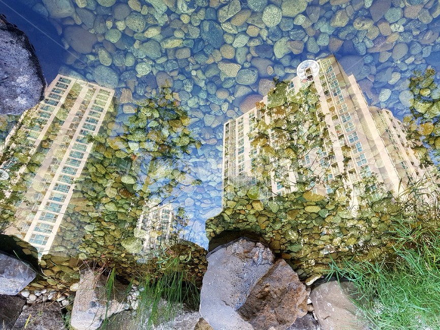 안양,덕천마을,반영,물,아파트,도시,풍경,city,landscape