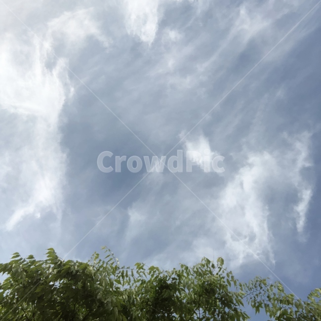 nature,outdoors,옥외,자연,weather,날씨