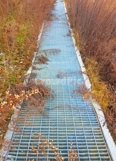 길,배수로,붉은,자연,마른식뭏