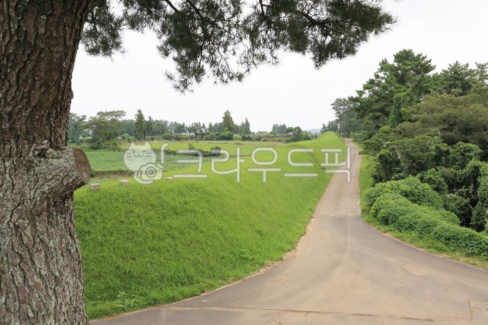 path,road,2nd lane,road name,jeju island,country road,Olle trail,uphill
