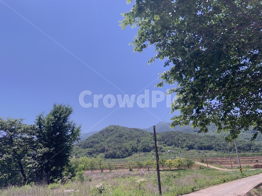 산,나무,구름,농촌,풀