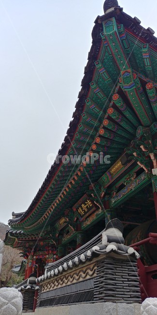 강화도절,기와지붕,절,문화유산,한국,전통,유산,종교