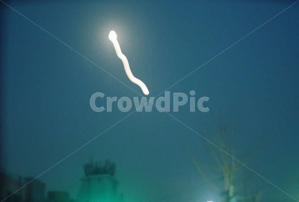 light,빛,flare,플레어,달,moon,moonlight,tree,나무,달빛,밤,night,별,별빛,star,starlight,꼬리,tail,sky,하늘,밤하늘