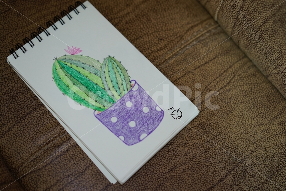 선인장,손그림,그림,금손,능력자,아트,미술,스케치,그리기,취미,스케치북,솜씨,취미생활,낙서,귀여움