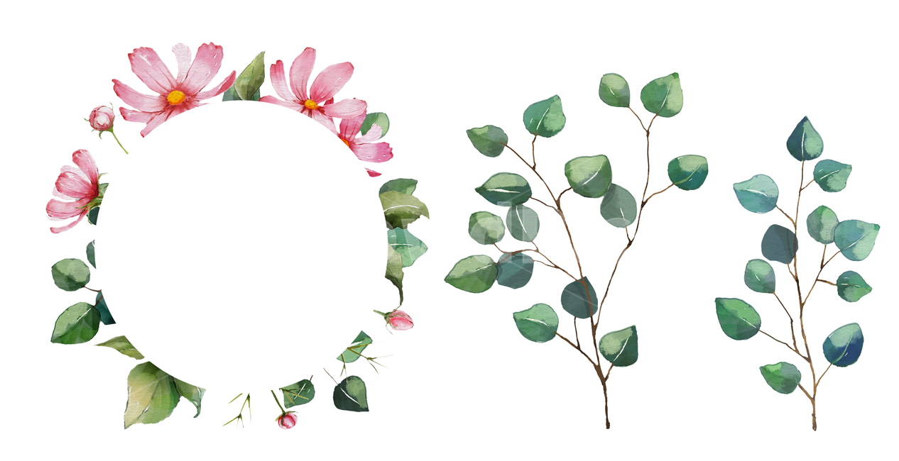 꽃,일러스트,이벤트,백그라운드,할인,초대장,카드,표지,편집,편집디자인,브로슈어,브로셔,비주얼,vip,럭셔리,고급,프리미엄,결혼,웨딩카드,웨딩,마음,일러스트레이션,그리기,곱다,수채화,봄,가을,디자인,자연,축하,아트,책,코스모스,잎사귀,잎,풍성하다,분홍,핑크,잎파리,배경,꽃,flower,그래픽,일러스트레이션,graphic,illustration