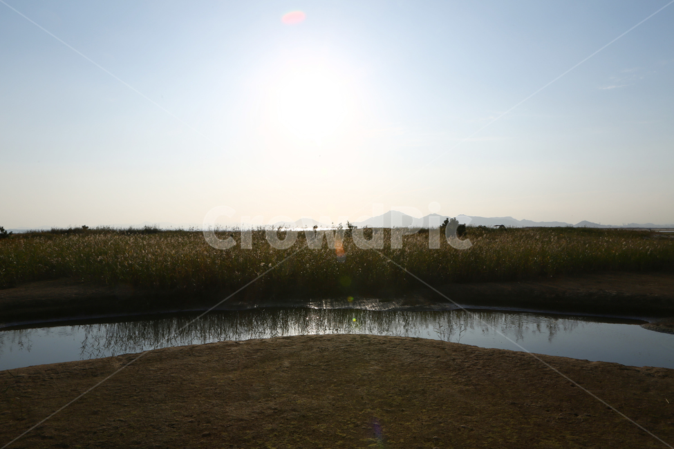 nature,자연,잔디,water,다대포,고우니생태길,자연,풍경,nature,landscape
