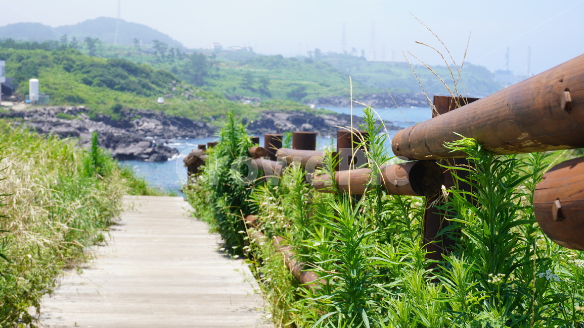 나무난간,난간,풀,산책로,자연,제주도,닭머르해안길,자연,풍경,nature,landscape