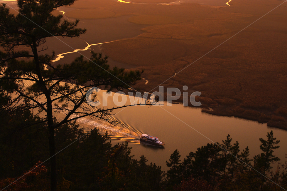 순천만,노을,풍경,갈대밭,배,강,자연,풍경,nature,landscape