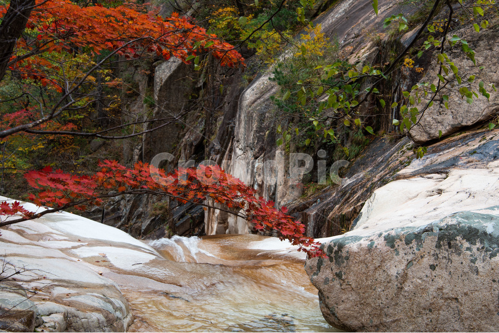 설악산,국립공원,가을,단풍,천불동계곡,폭포,가을,계절,fall,autumn,season,자연,풍경,nature,landscape,한국자연풍경,한국자연경관,korea nature landscape,plant,식물,leaf,잎,tree,나무,outdoors,옥외