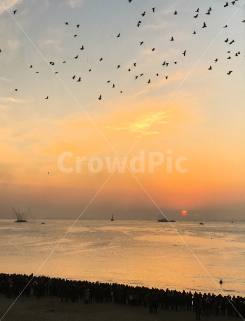 새해,일출,해운대,소망,여행,자연,풍경,nature,landscape,해변,바다,beach,sea,조류,새,birds,flock,대군,animal,동물,bird