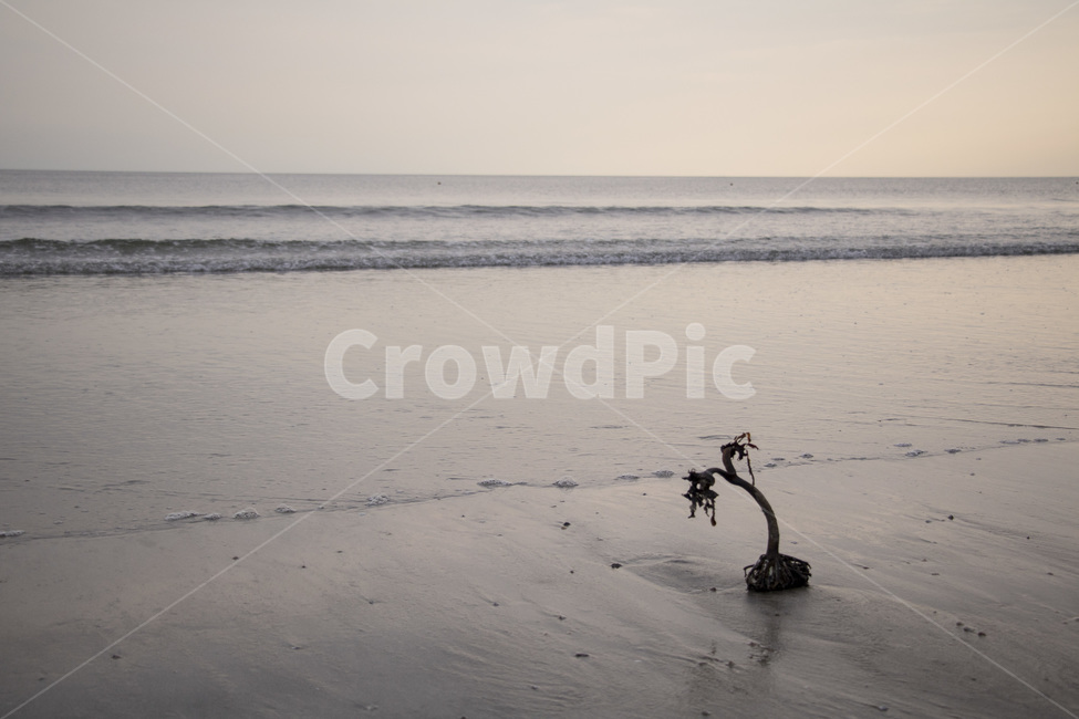 바다,해변,파도,노을,석양,하늘,모래사장,beach,sky,summer,nature