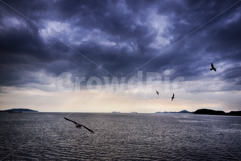 갈매기,빛내림,구름,일몰,야경,풍경,바다,역광,sunset,landscape,sea,ocean,view,nightview,light,동물,animal,자연,풍경,nature,landscape,조류,새,birds,outdoors,옥외,adventure,모험,leisure activities,레저 활동,water,물,대양,bird,land,땅