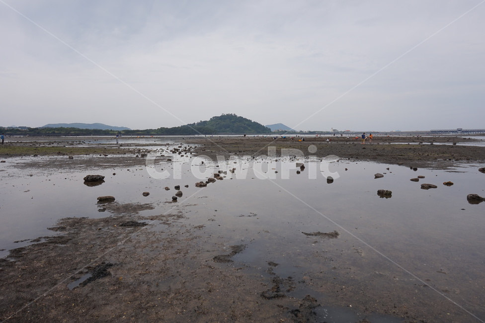 제주도,일출봉,갯벌,먼산,썰물,바닷가,막막함,바닷물,갯벌체험,푸른산