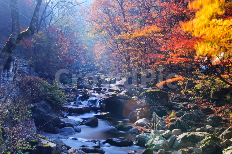 방태산,가을,바위,단풍,계곡,만추,은사계류,자연,풍경,nature,landscape,가을,계절,fall,autumn,season,water,물,outdoors,옥외