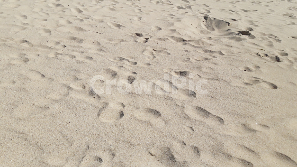 자연,nature,모래,sand,옥외,outdoors,백사장,발자국