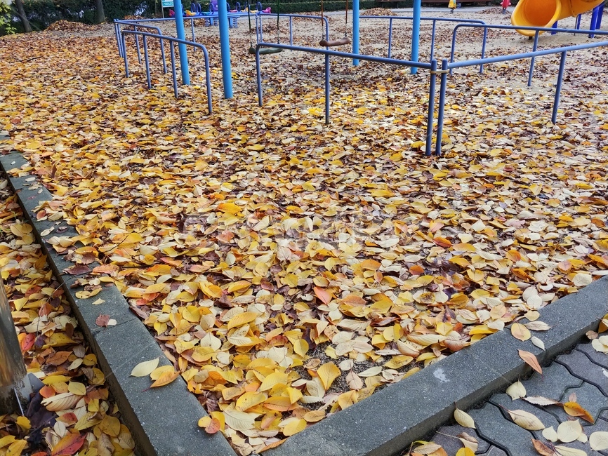 가을,낙엽,단풍,놀이터,나뭇잎