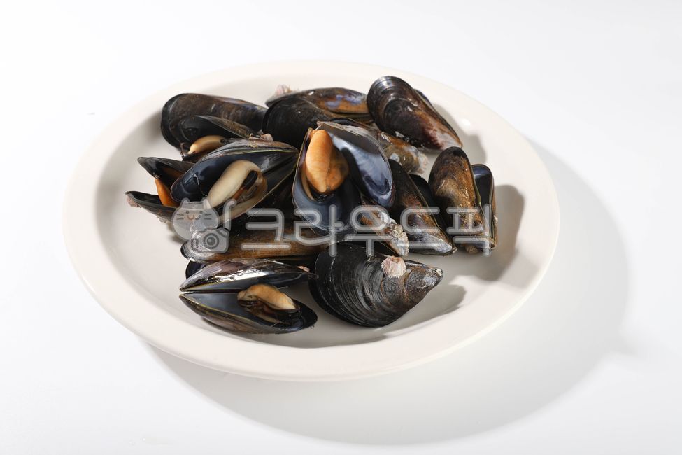 홍합,수산물,바다생물,먹거리,조개,음식,식재료,요리,food,cook,meal,dishes,food reserves,수산물,해산물,fishery products,seafood