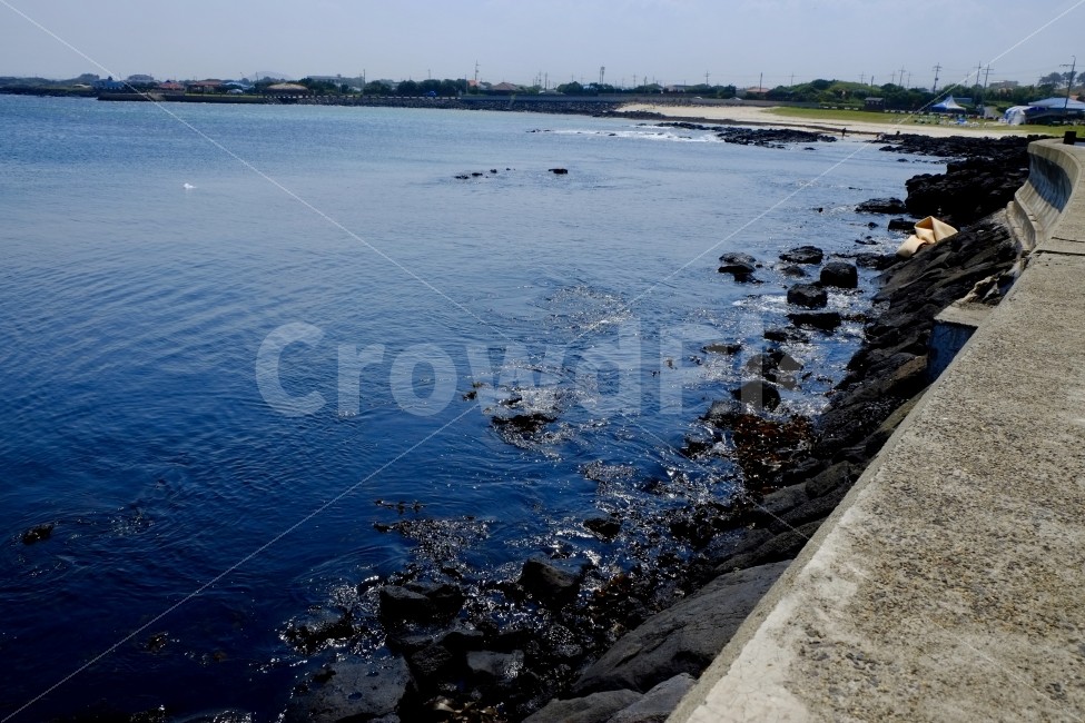 바다,푸른,제주도,해안가,잔잔,풍경,자연,여름,자연,풍경,nature,landscape,제주도,jeju,jeju island,water,물