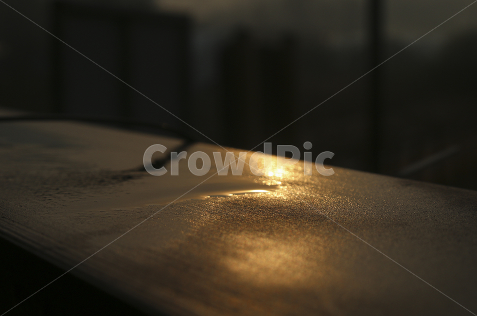 wood,나무,water,물,물기,습기,이슬,햇빛,light