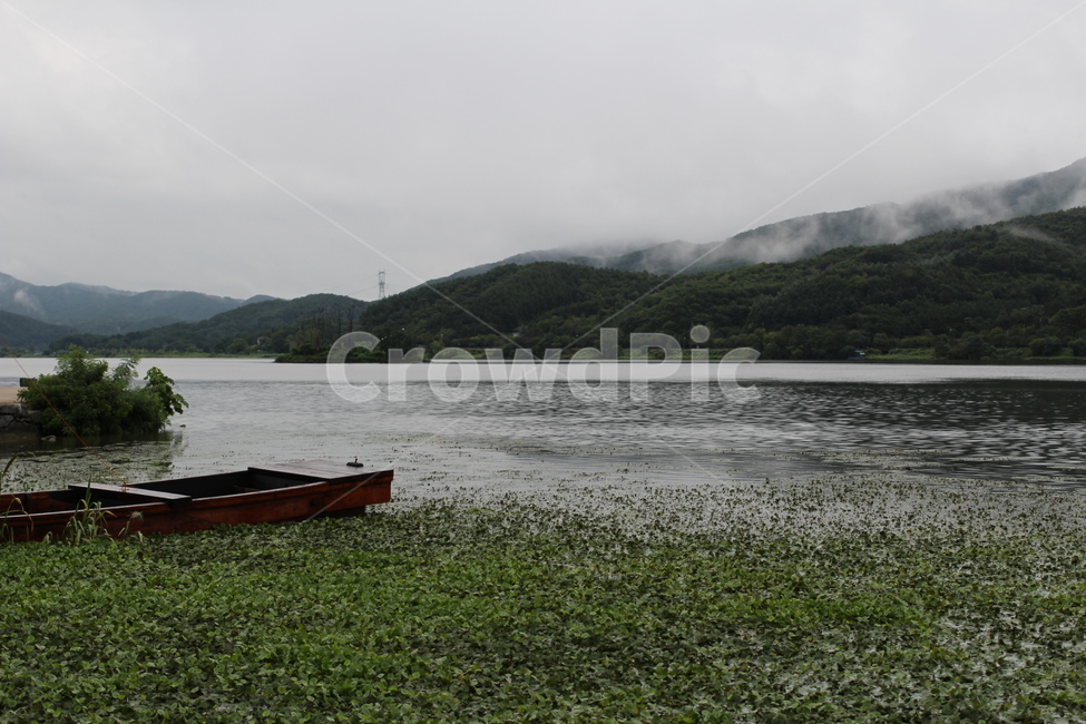 두물머리,안개,아침안개,풍경,여름,자연,풍경,nature,landscape,한국자연풍경,한국자연경관,korea nature landscape,vehicle,차량,transportation,교통,watercraft,선박