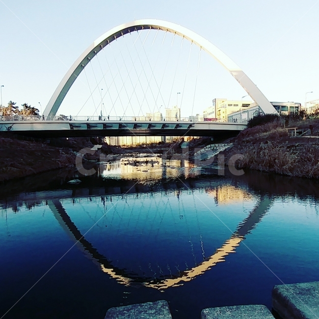광주,다리,건물,동네,수완지구,산책로,물,강,bridge,water,walk,trail,landscape,도시,풍경,city,landscape,architecture,건축물,building,arched,아치형,arch bridge,아치교,arch,아치