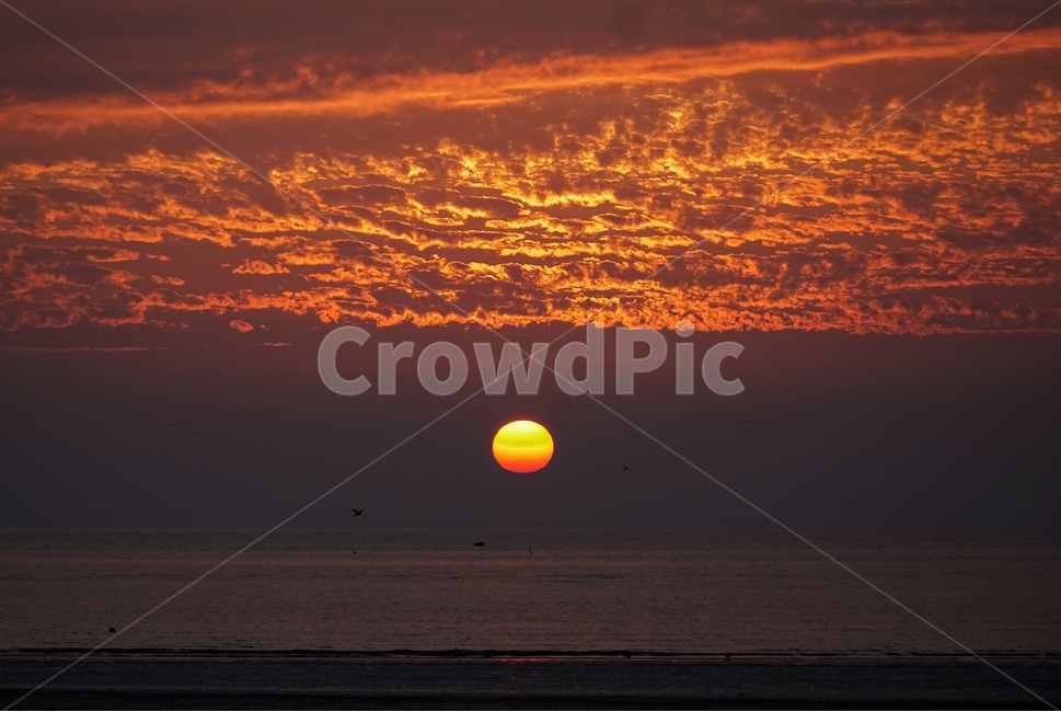 자연,햇빛,황혼,sunset,일몰,붉은하늘