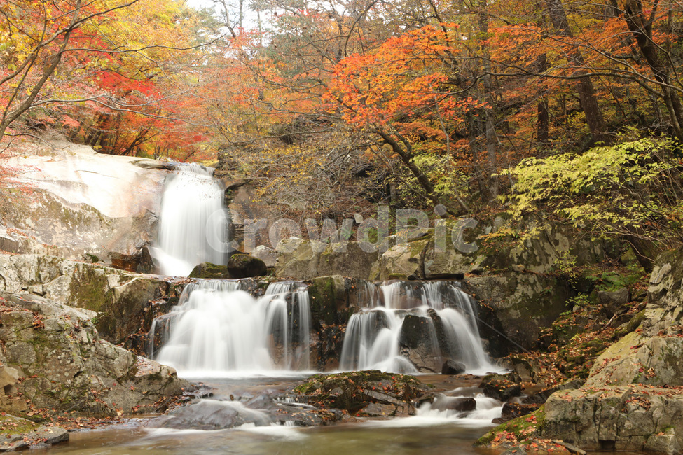 폭포,나무,경치,자연,물,단풍,가을,계절,fall,autumn,season,자연,풍경,nature,landscape,식물,plants,water,river,강,outdoors,옥외,waterfall